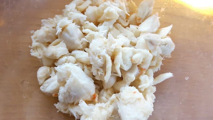 lump, white crab meat on a plate ready to use.