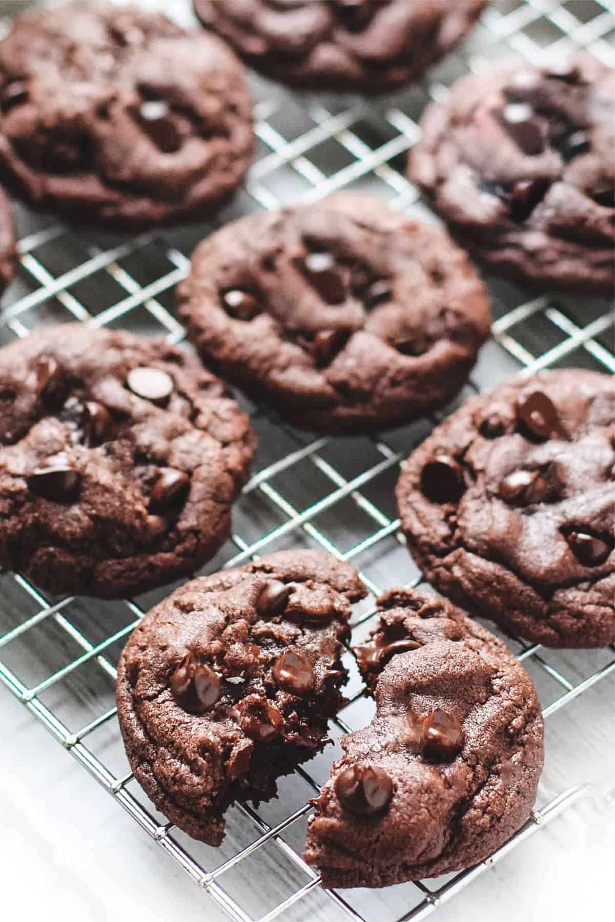 Best Double Chocolate Chip Cookie, Double Chocolate Cookies Joyfoodsunshine - Check spelling or type a new query.
