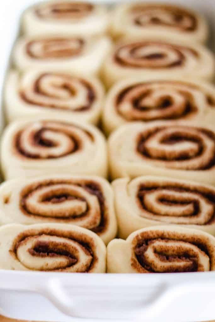 raised cinnamon rolls in the pan ready to bake