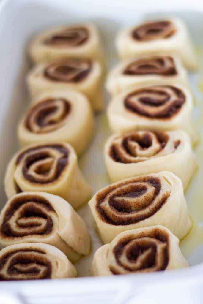 Cinnamon roll dough swirled with cinnamon and sugar in a pan