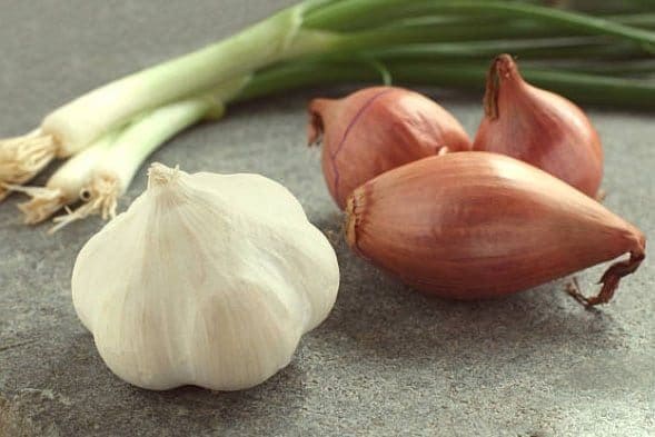 A cutting board with two green onions, unpeeled, whole shallots and a head of garlic