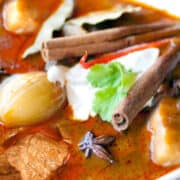 Massaman Curry staged with yogurt and cinnamon sticks