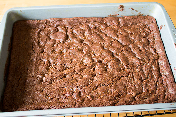 Classic Double Chocolate Chip Cookie bars freshly baked still in the pan