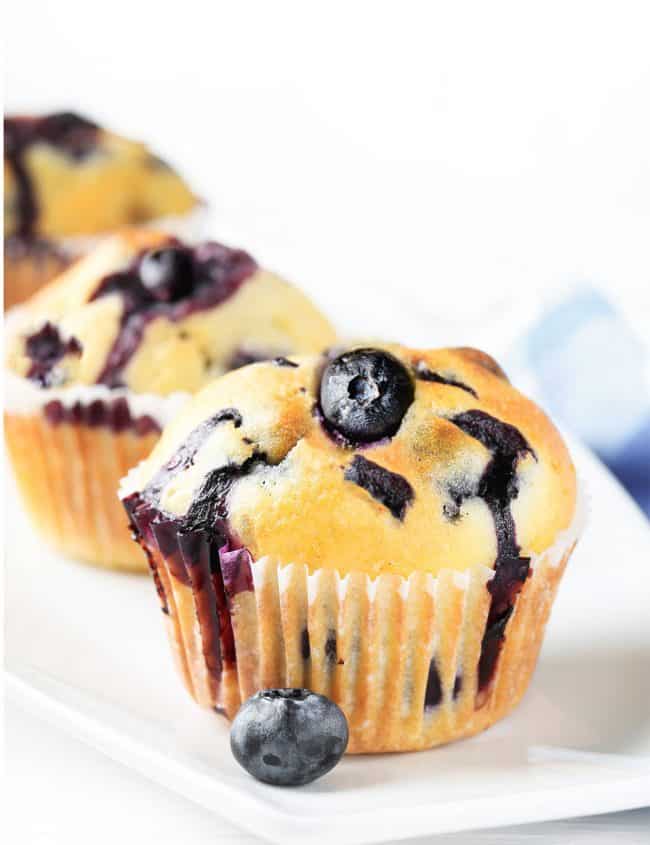 Three Blueberry muffins lined up on a plate with a blueberry next to the front muffin.