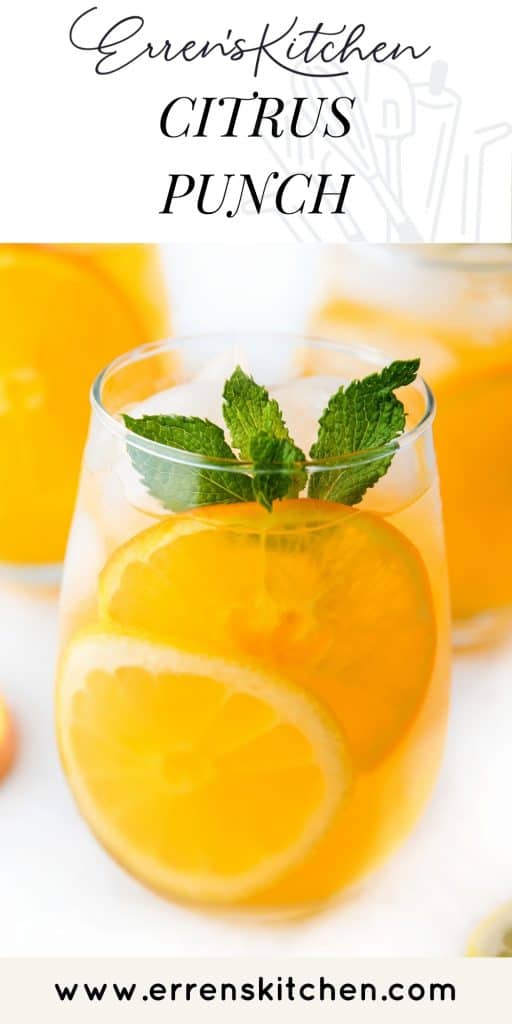 a glass filled with citrus punch