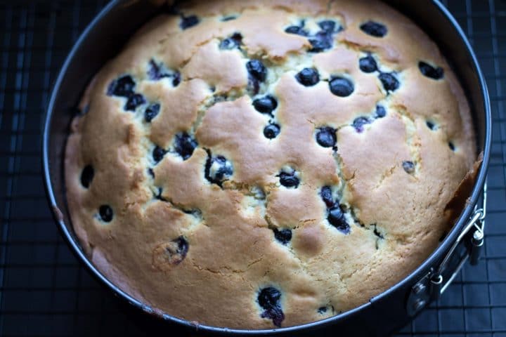 Blueberry cake freshly baked and still in the pan