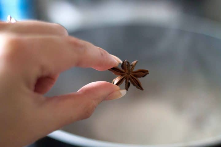 star anise being added to the pan