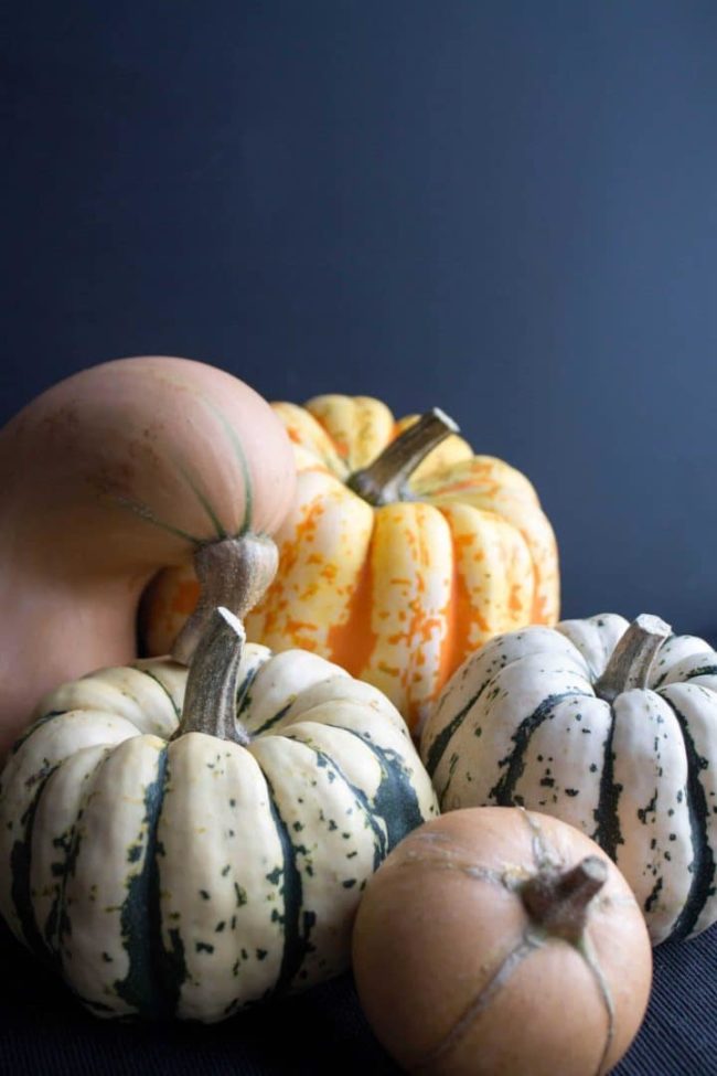 various squash