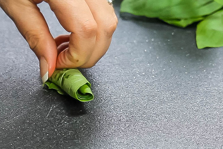 basil leaves rolled up together ready to cut