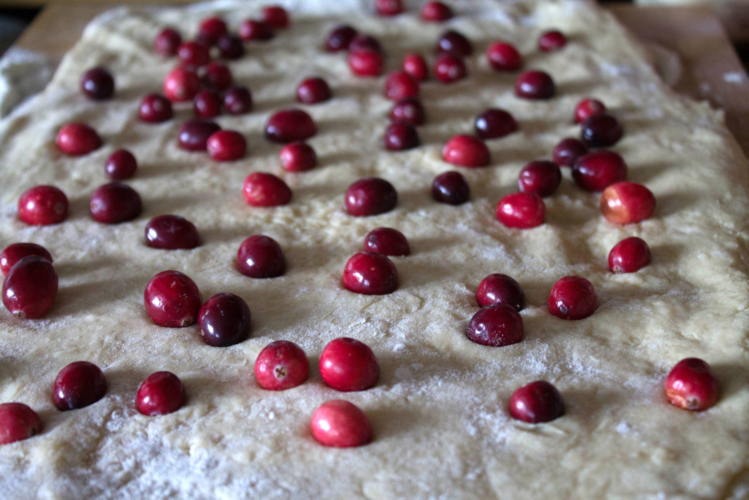 scone dough rolled out with cranberries scattered over it