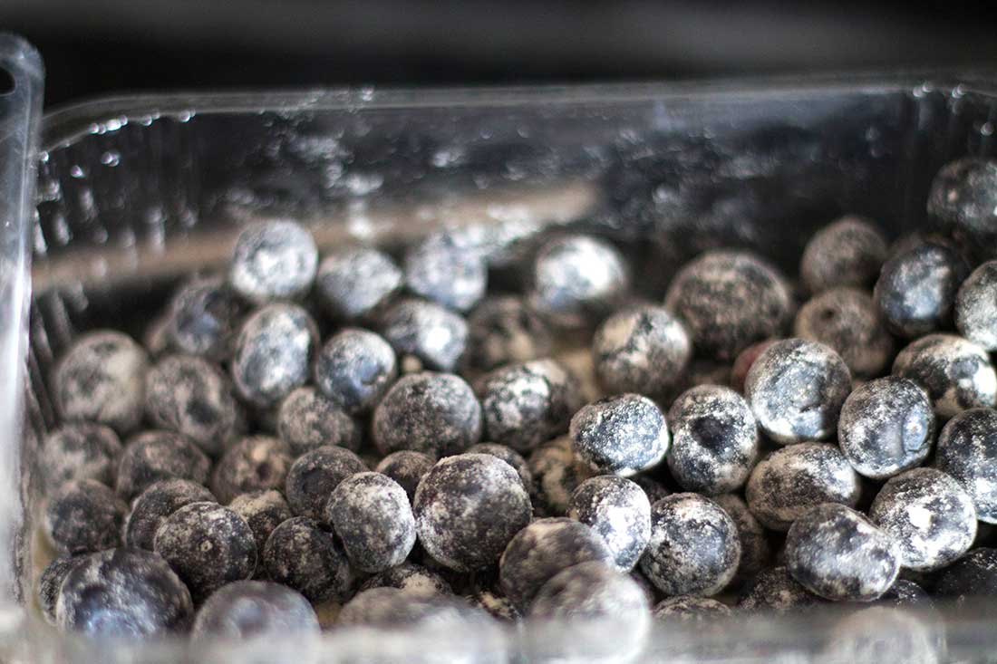 a photo of blueberries coated in flour.