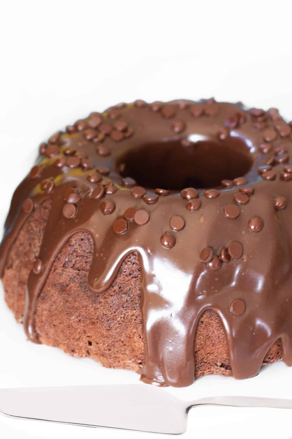 Double Chocolate Bundt Cake