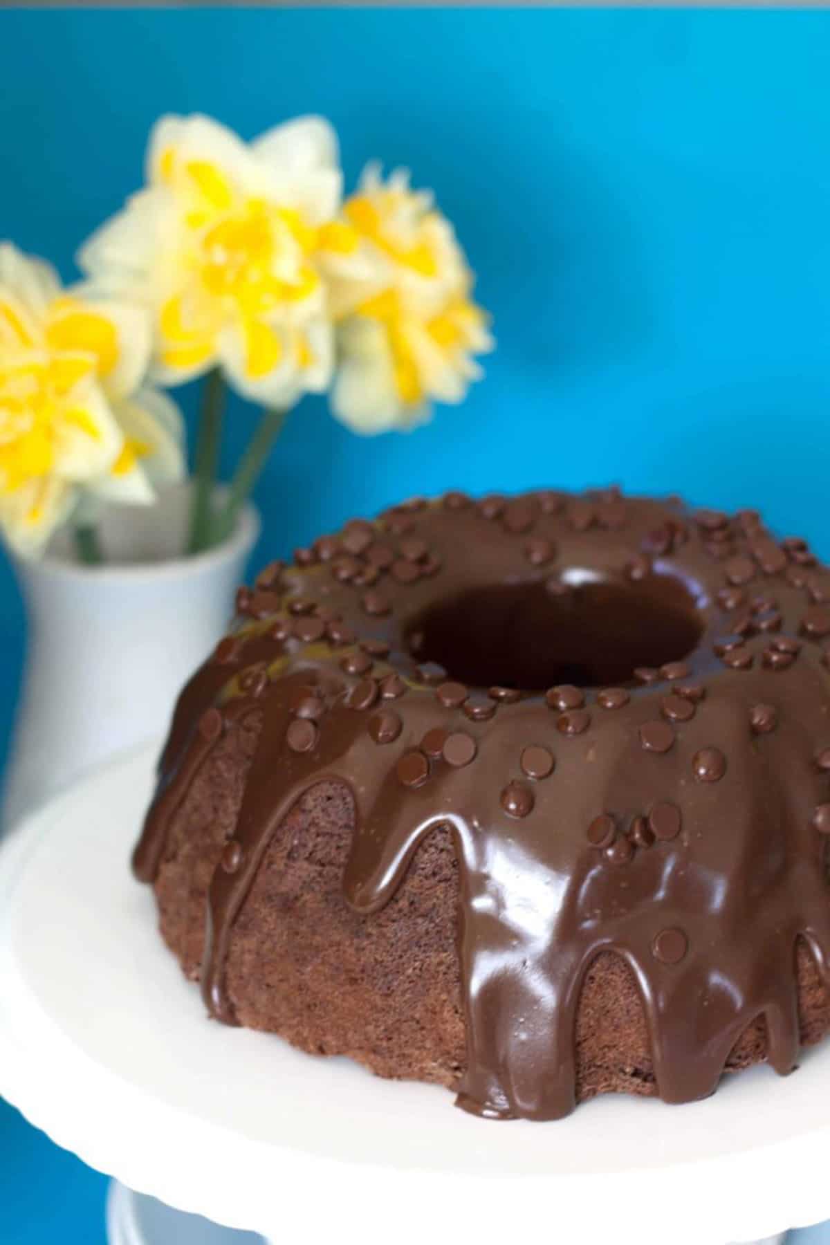 Double Chocolate Bundt Cake Erren S Kitchen