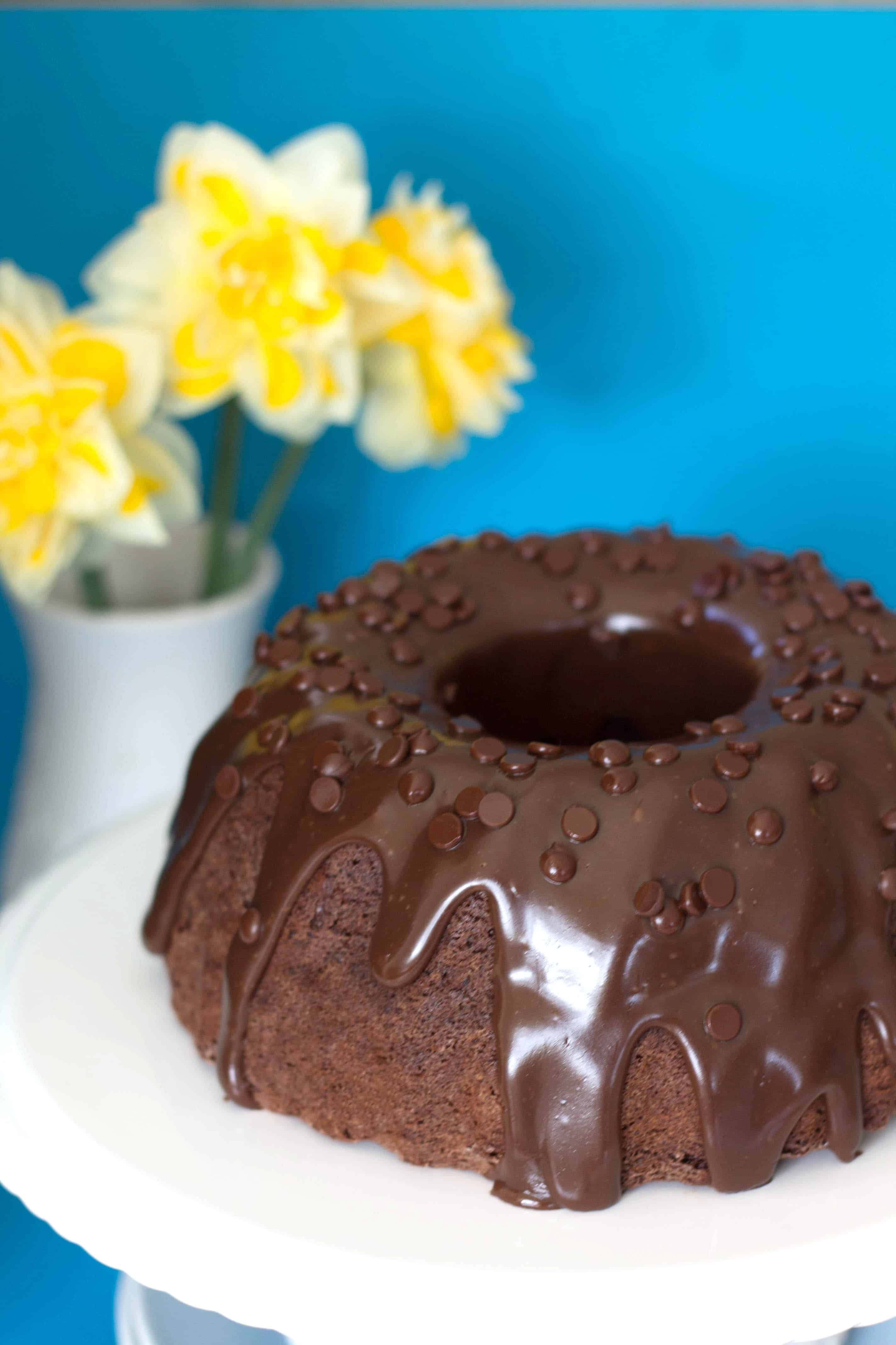 Double Chocolate Bundt Cake Erren's Kitchen