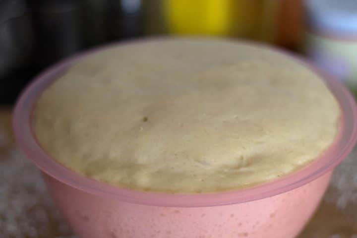 Yeast dough risen in a bowl