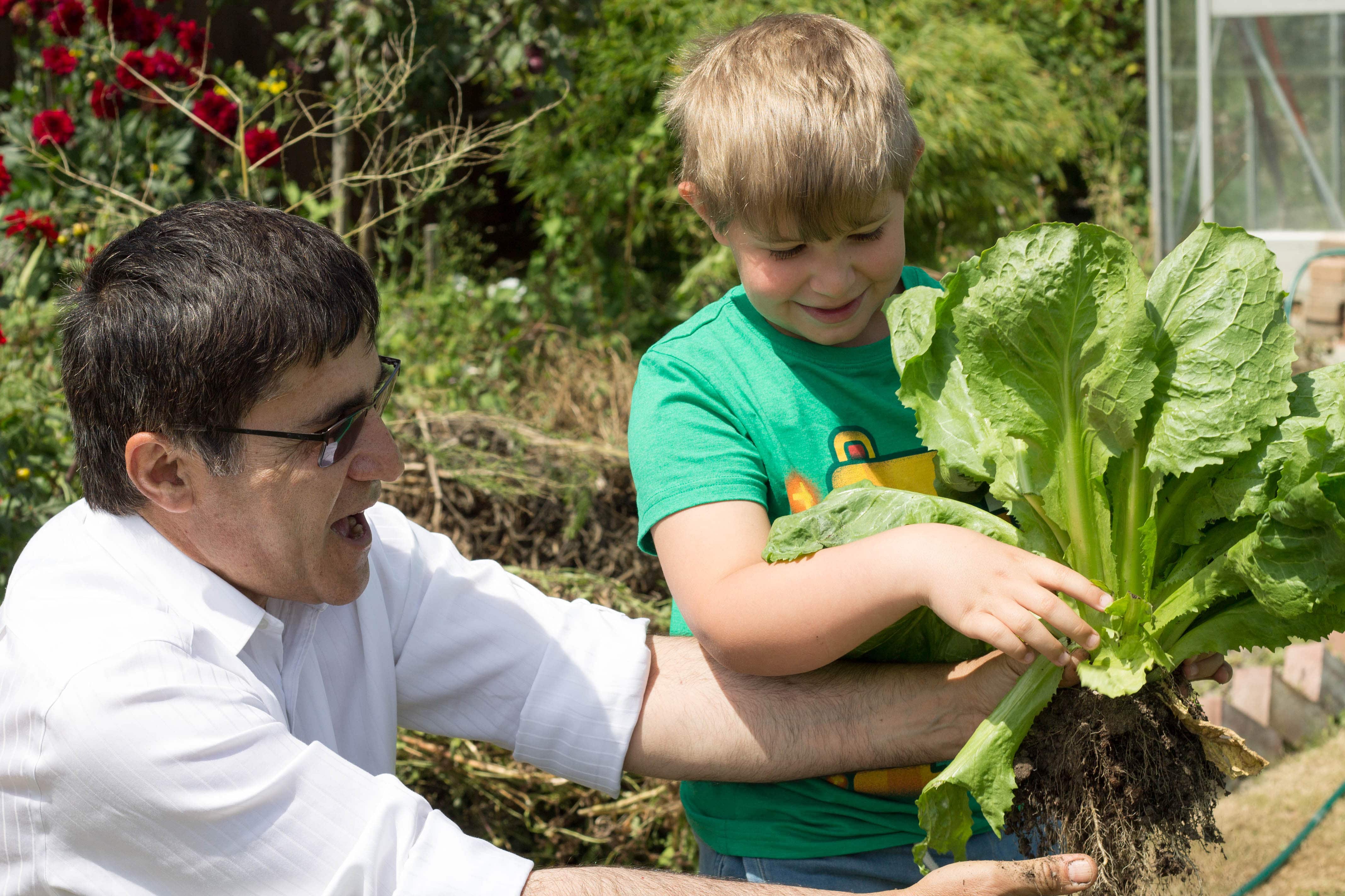 A man and a boy holding escarole leaves in a garden