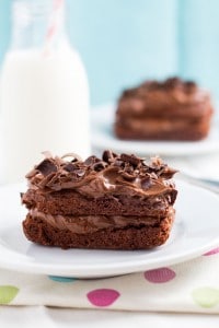 Easy Chocolate Dessert - Erren's Kitchen