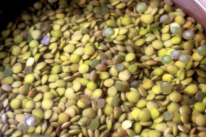 Green lentils in a bowl soaking in water