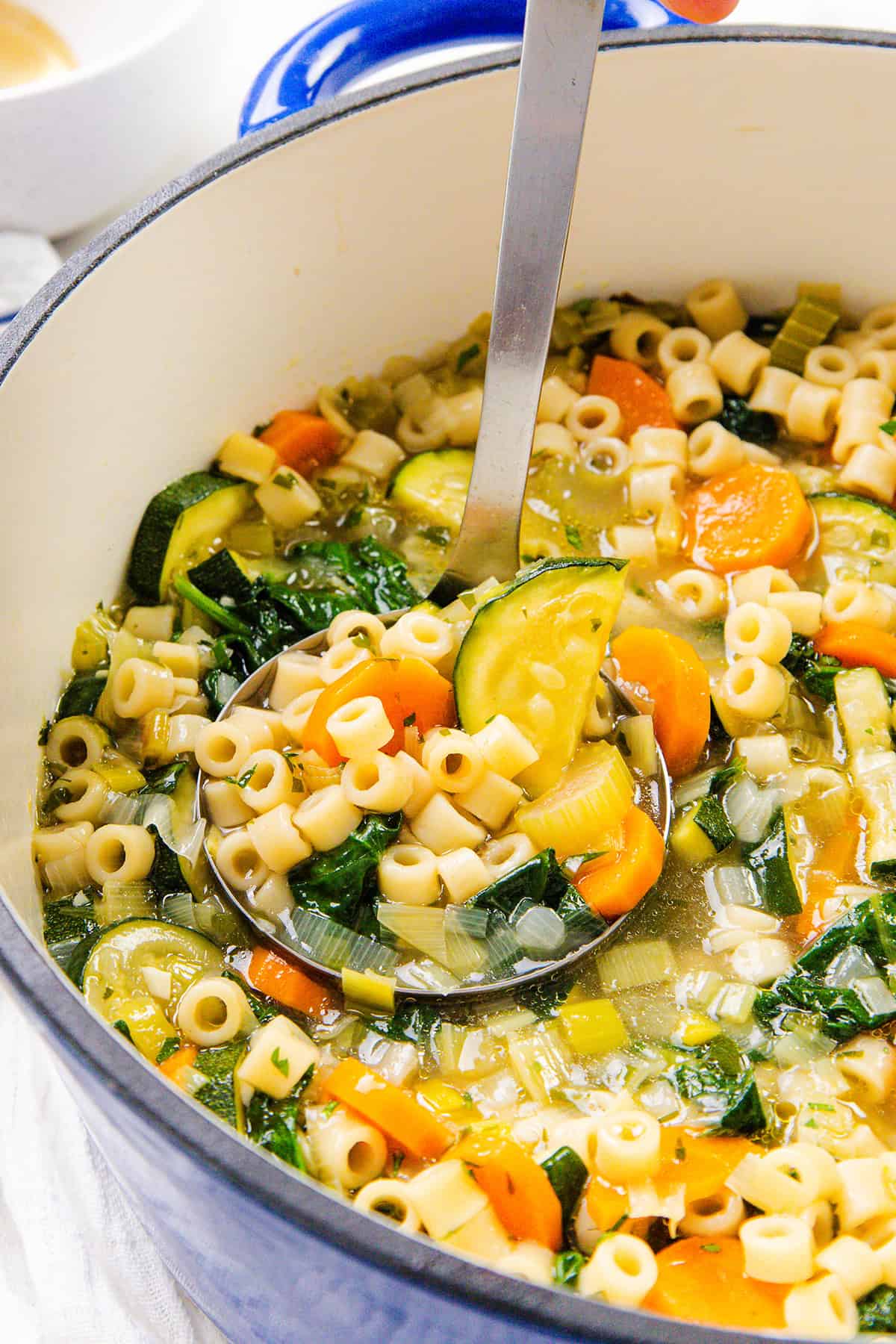 One Pot Spring Vegetable Soup with Pasta