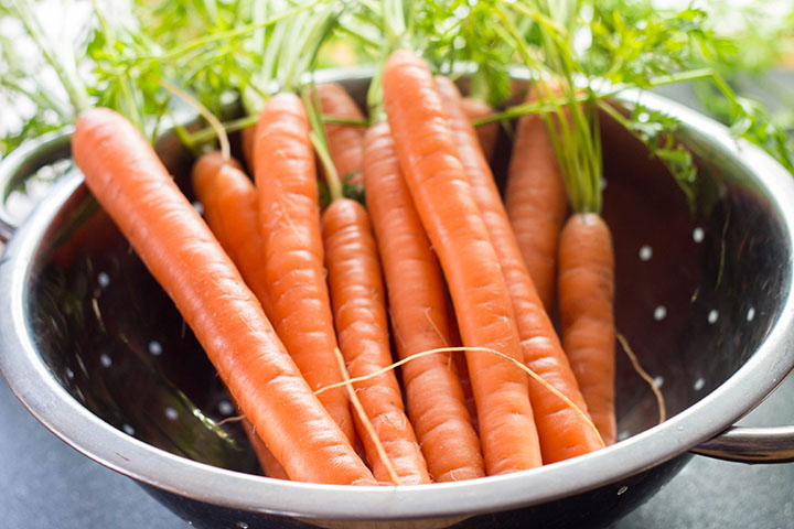 fresh Carrots in a colander with the stems still attached.