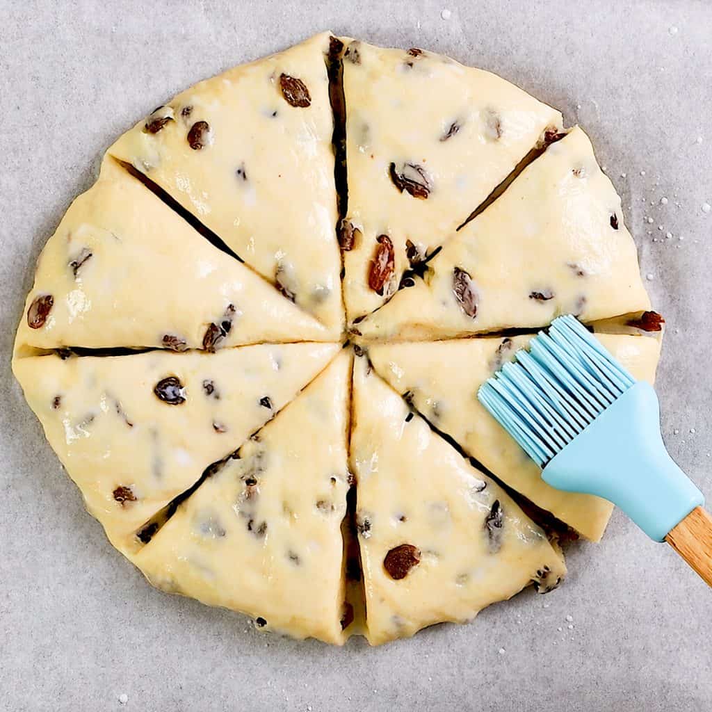 A round disk of unbaked Raisin Scones dough is cut into eight wedges on parchment paper. A blue pastry brush gently glazes the scone wedges, readying them for baking.