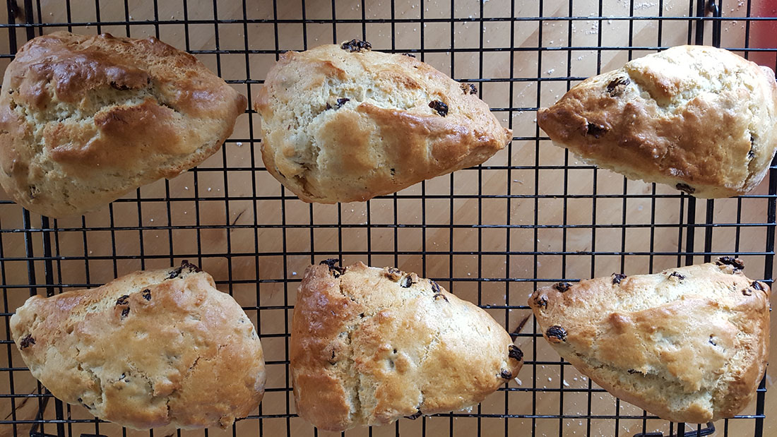 Raisin Scones baked on a wire rack