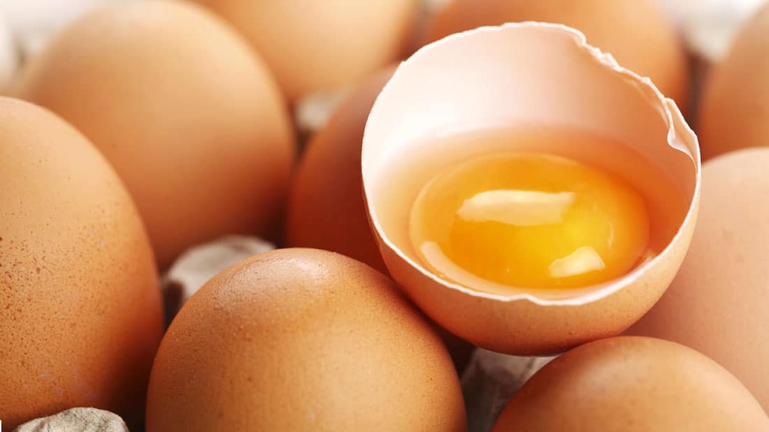 brown eggs