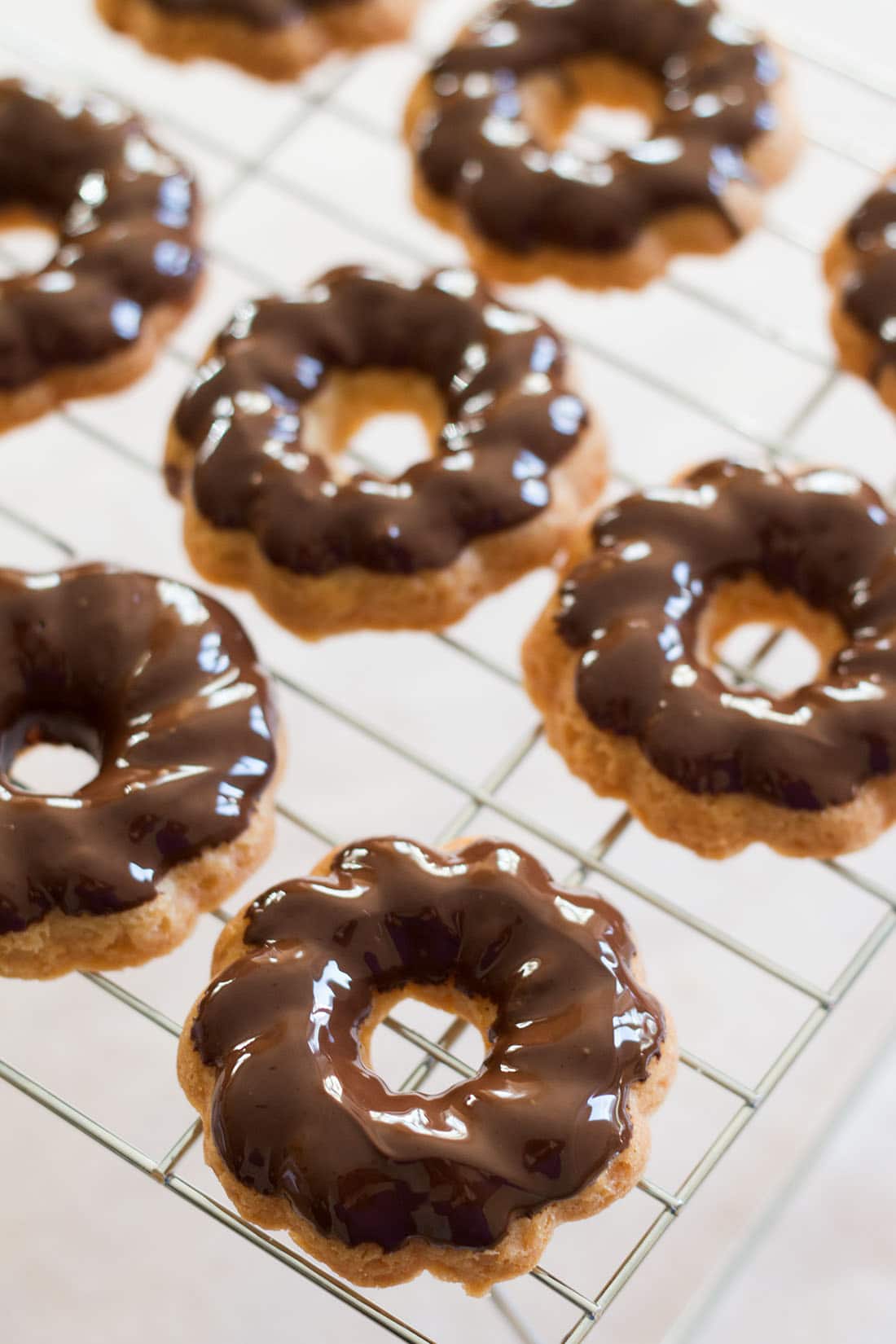 Chocolate Coated Shortbread Cookies