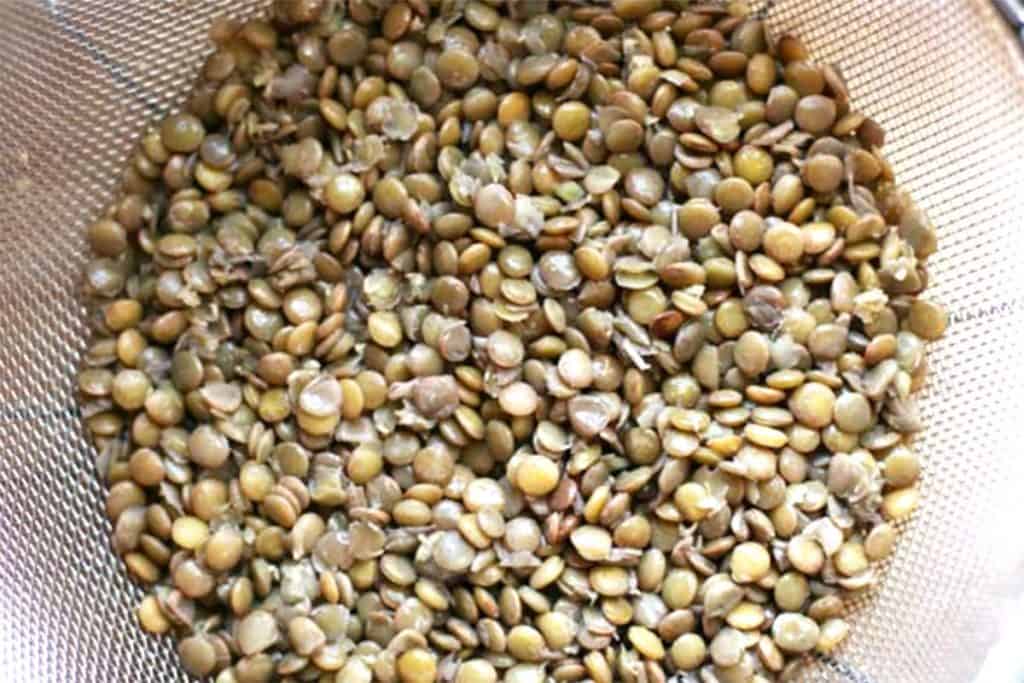 A strainer filled with soaked lentils