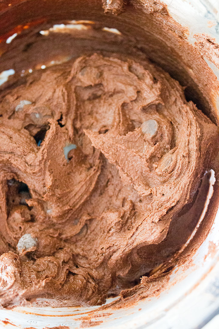Chocolate chips mixed into dough