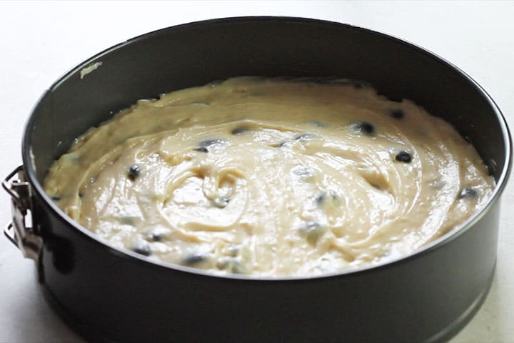 blueberry cake batter in a pan