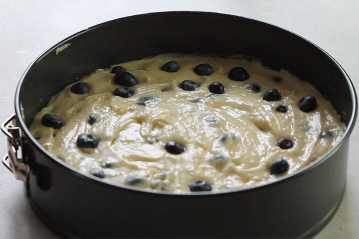 Blueberries added to the top of the batter in the pan