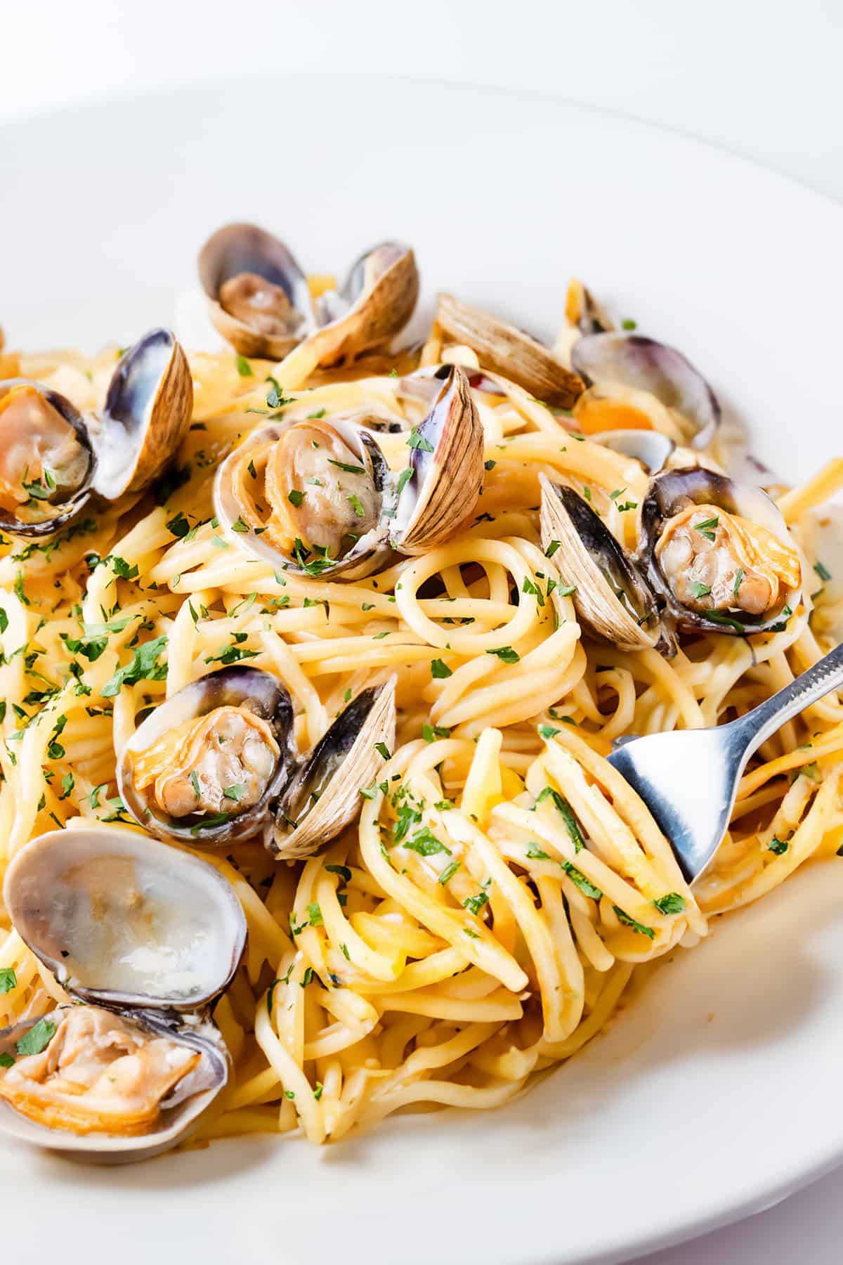 Clam Sauce