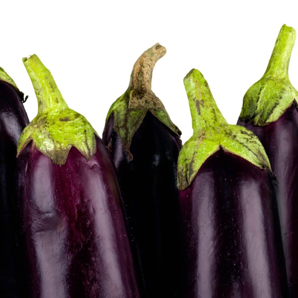 a group of fresh eggplants with a white background