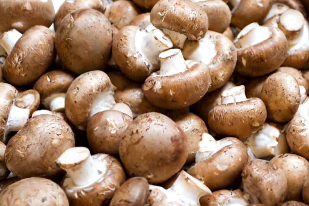 a pile of brown mushrooms.