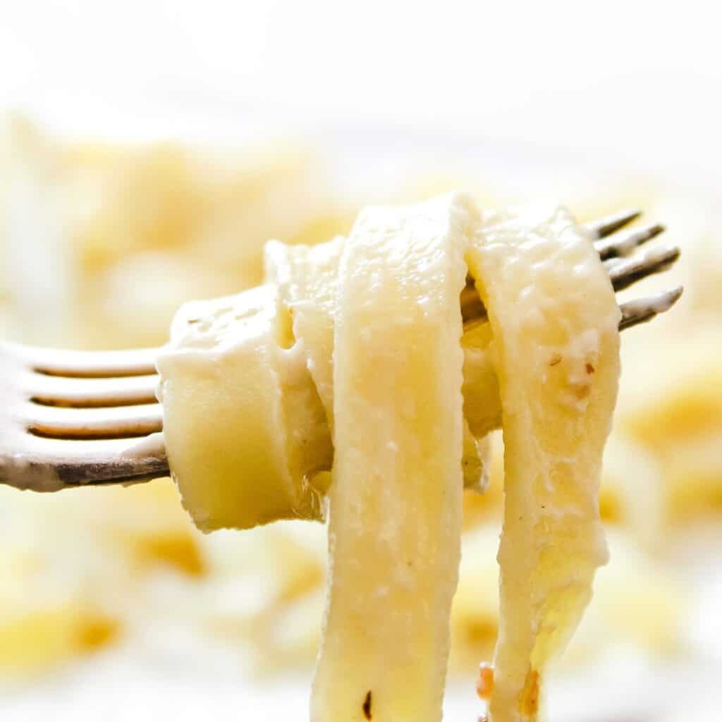 Fettuccine Alfredo twirled around fork