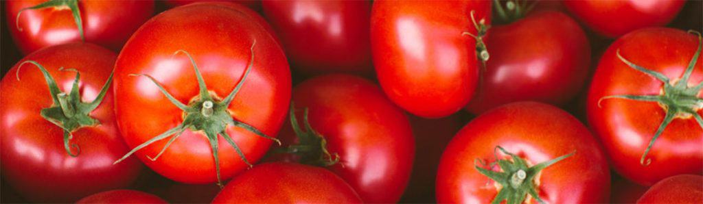 a bunch of fresh tomatoes