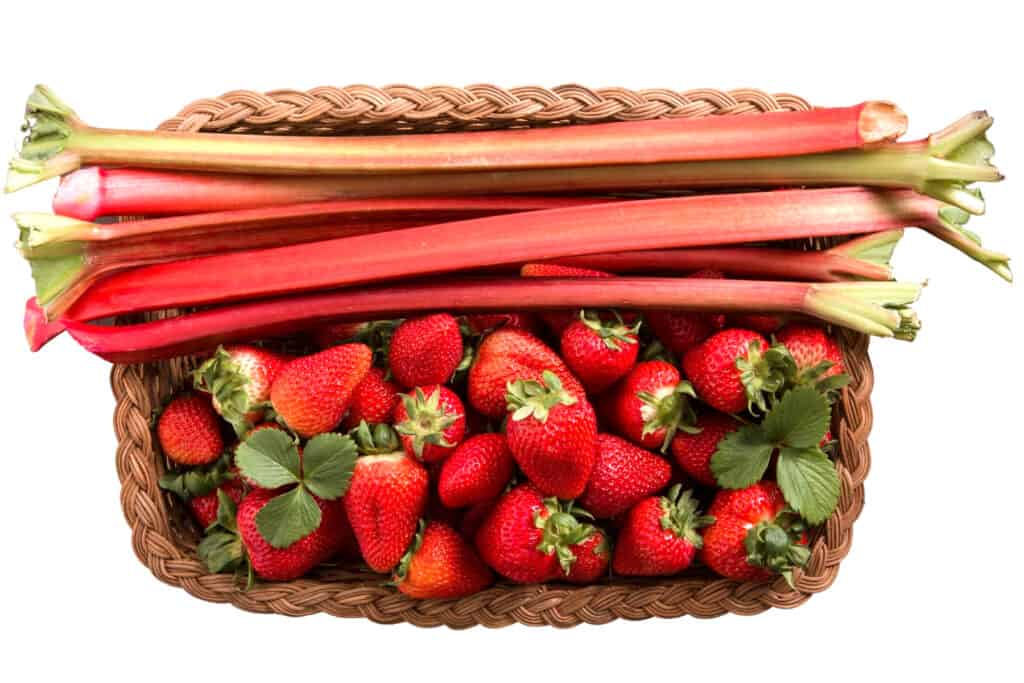 Strawberries and rubarb in a basket