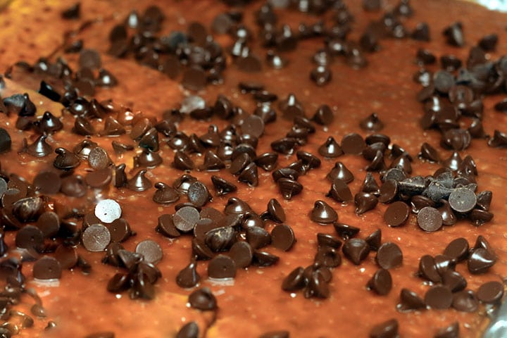 chocolate chips scattered over the warm toffee