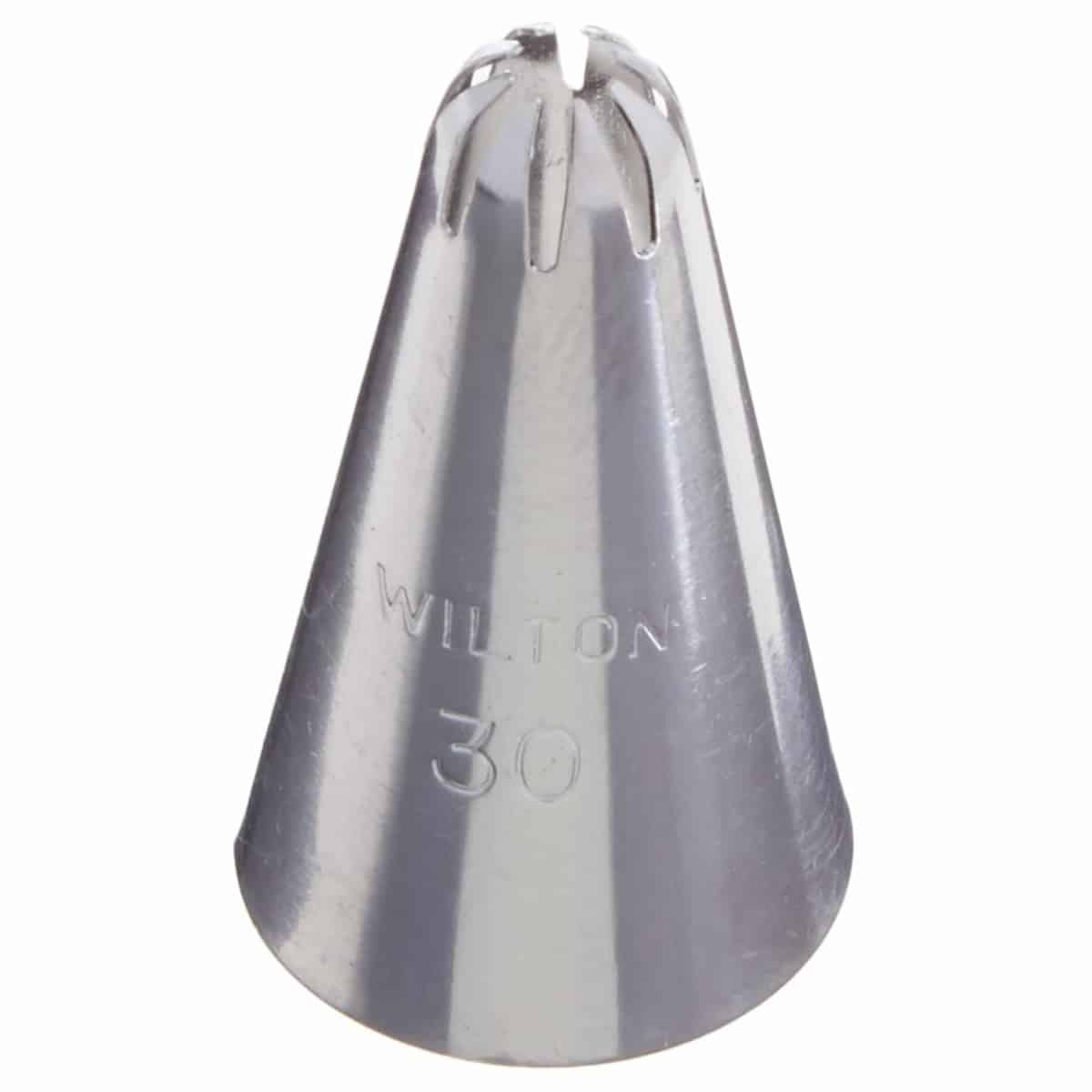 Wilton Closed Star Tip