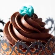 a cupcake swirled with chocolate frosting topped with a little blue rose