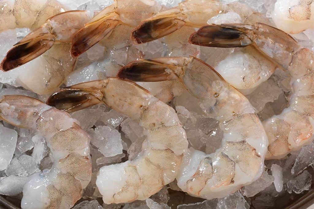 raw shrimp with tails still on stitting on ice