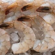 raw shrimp with tails still on stitting on ice