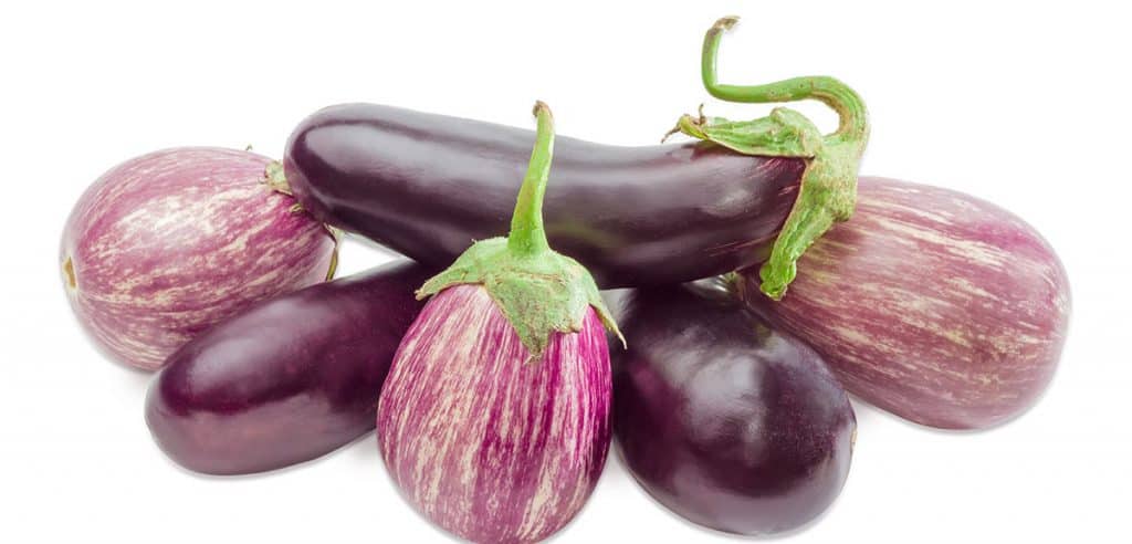 Pile of the conventional purple eggplants and Graffiti eggplants on a light background