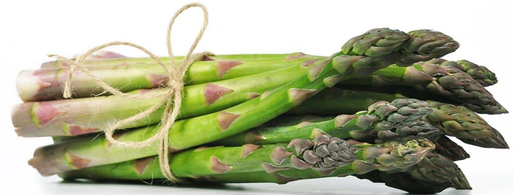 a bunch of asparagus tied with twine