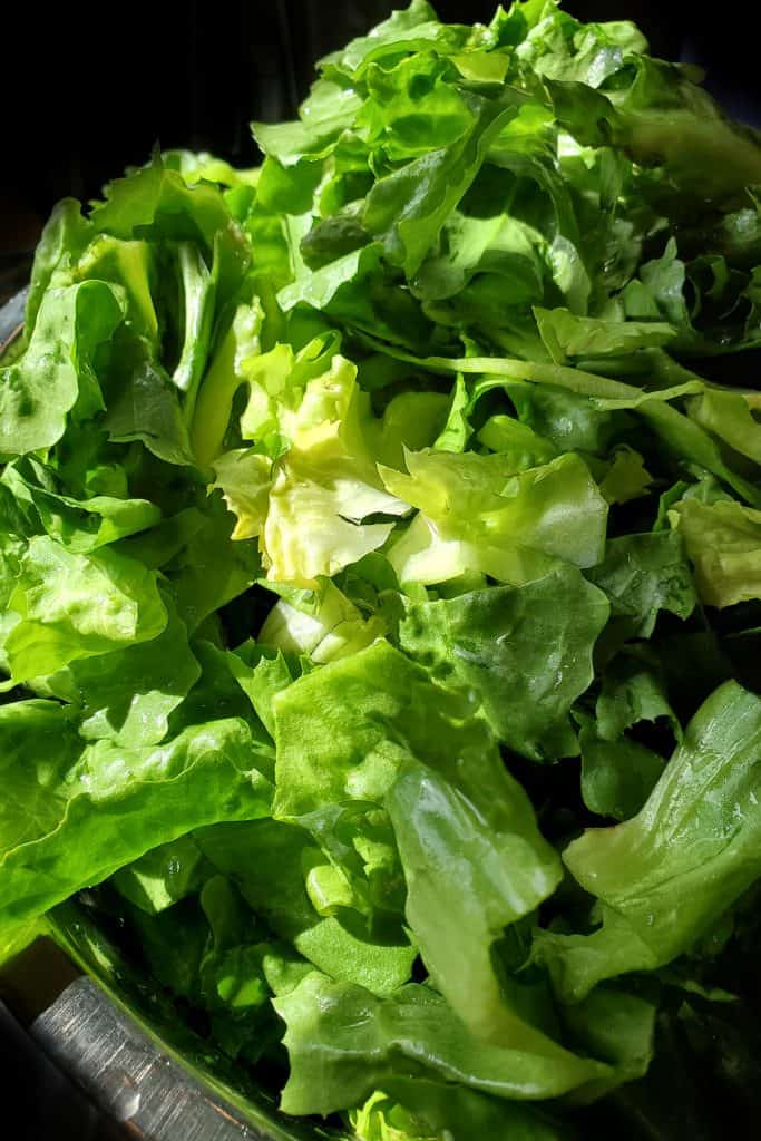 Washed escarole in a strainer
