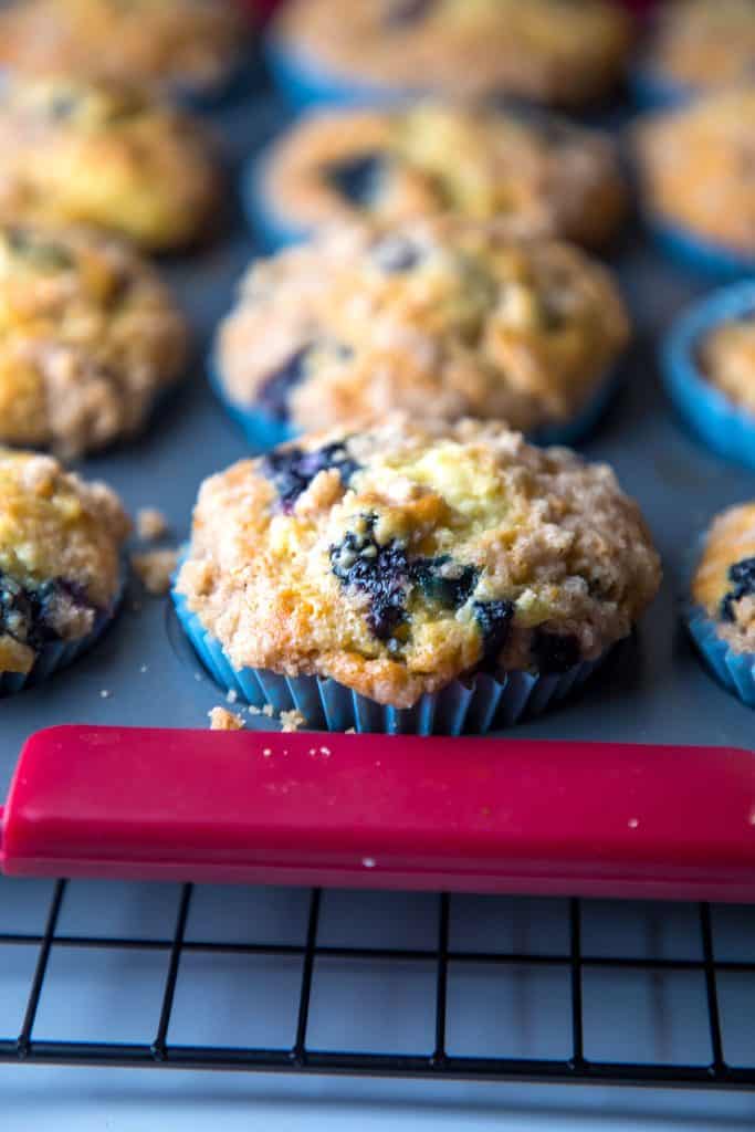 buttermilk blueberry muffins straight out of the oven
