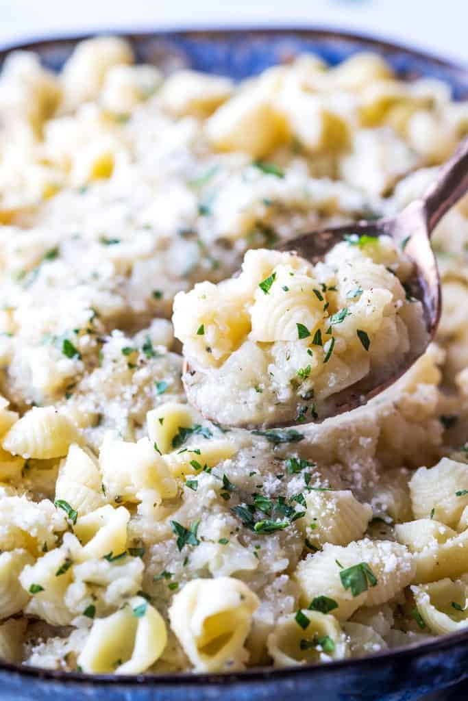 a dish of pasta shells with cauliflower