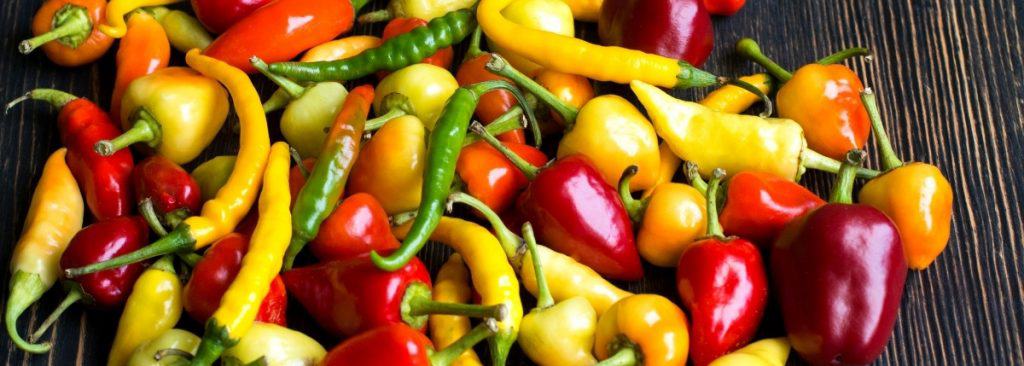 A variety of Chile Peppers in a pile on a table