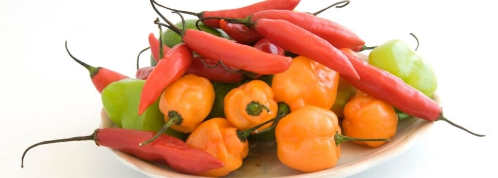 A variety of Chile Peppers